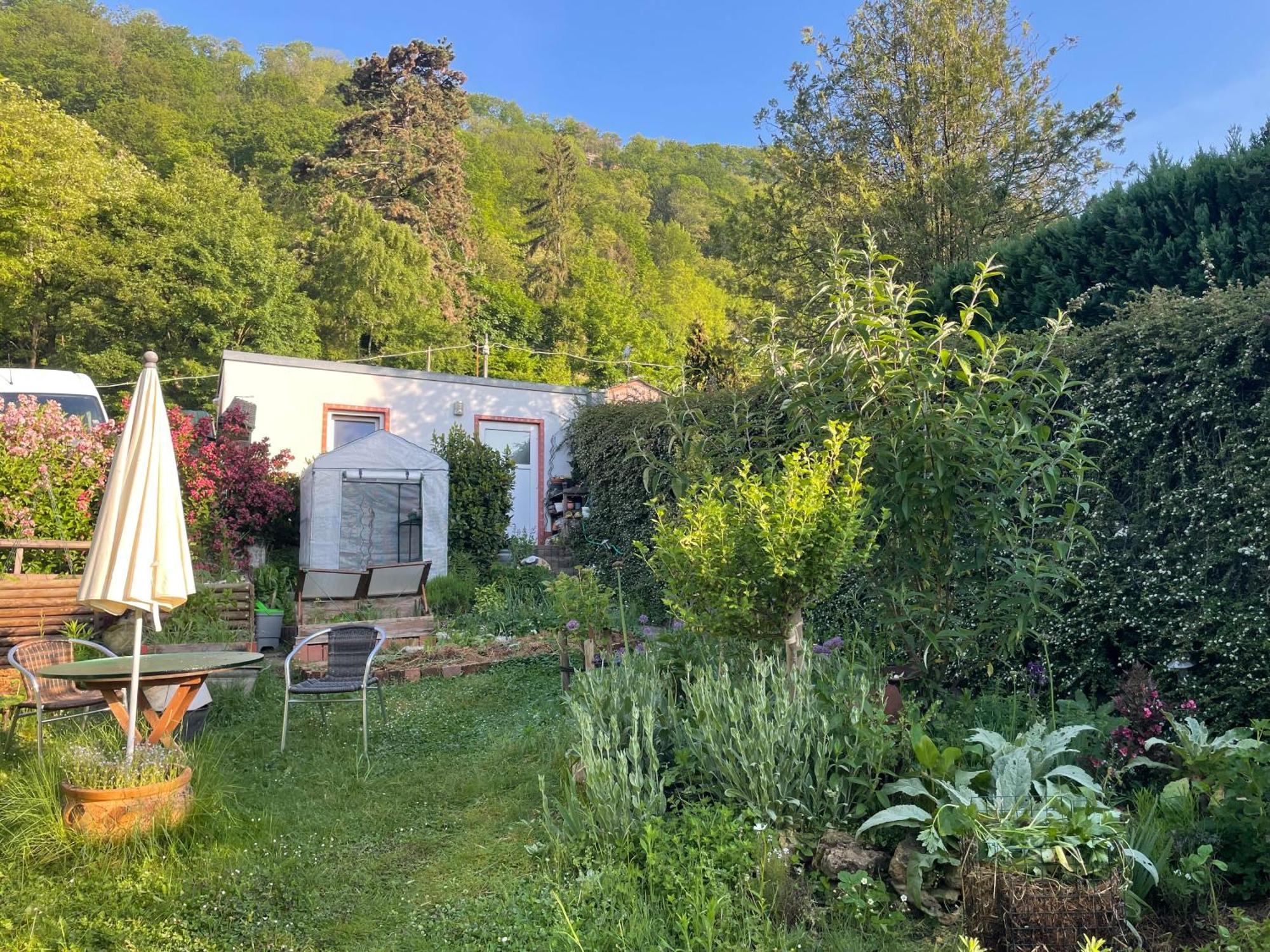 Blick Ins Gruene, Nah Am Zentrum Apartment Trier