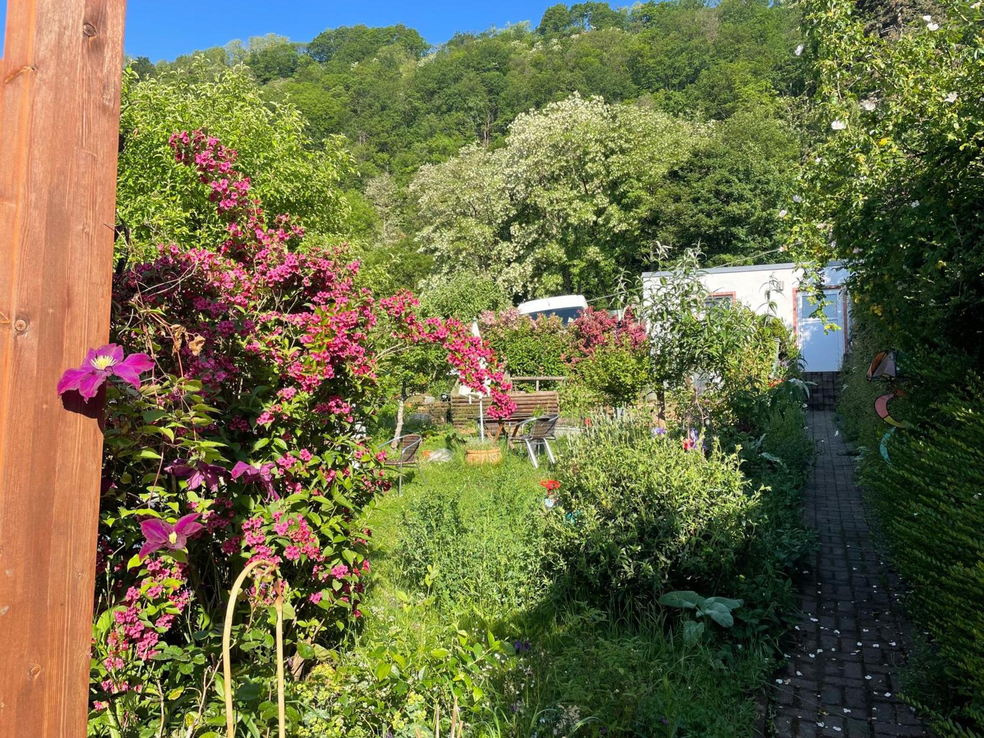 Blick Ins Gruene, Nah Am Zentrum Apartment Trier